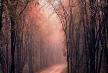 亿万28官方:亚洲乒乓球锦标赛:我国女队以0比3不战韩国队.