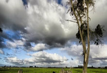 亿万28官方：时隔31天再次首发，造点+4次关键传球，居勒尔想留皇马还要1改变.