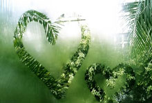 亿万28官方：世界足坛名帅、皇马主教练因逃税指控在马德里出庭受审中国新闻网.