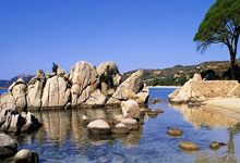 亿万28官方：海港选援权交给了穆斯卡特 新外援偏向巴西帮.